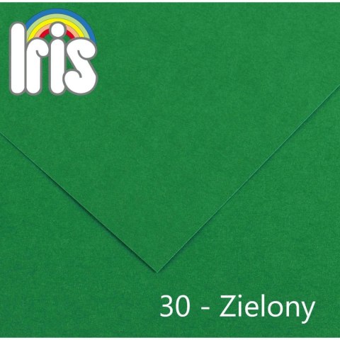 Brystol A4 zielony 185g 50k Canson (200040173)