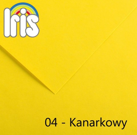 Brystol Iris 04 B1 kanarkowy 240g 25k [mm:] 700x1000 Canson (200040443)