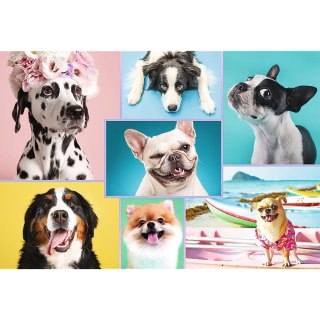 Puzzle 1500 el. Trefl (26186)
