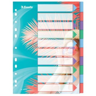 Przekładka czysta Colour Breeze A4 mix 10k Esselte (628500)