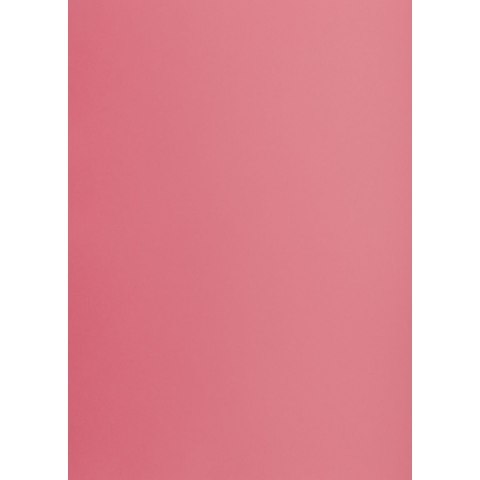 Brystol RÓŻOWY B2 różowy 225g 25k Creatinio (400150329)