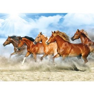 Kalendarz ścienny KONIE trójdzielne- Jotan (T46)