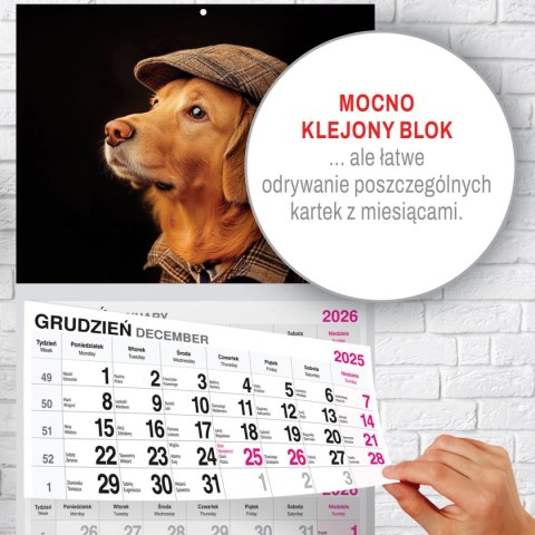 Kalendarz ścienny PREMIUM trójdzielny A4 Press (PIES)
