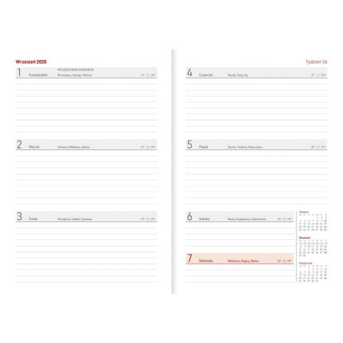 Kalendarz nauczyciela książkowy (terminarz) PCV KOTY bezbarwny A5 Wydawnictwo Wokół Nas (A5TN078B)
