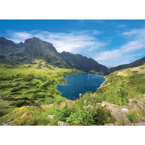 Kalendarz ścienny PEJZAŻE TATRZAŃSKIE 13-planszowe 2024 320mm x 470mm Lucrum (RW05)