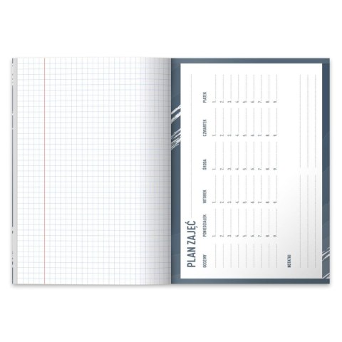 Zeszyt Sport A5 80k. linia Herlitz (9553991)