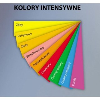 Papier kolorowy 4051 A4 zielony ciemny 500k. 80g Emerson (xem408052)