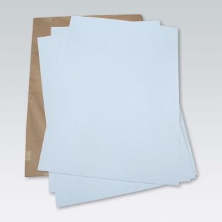 Brystol B1 biały 170g 100k [mm:] 700x1000 Mondi