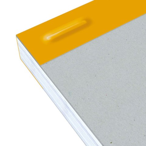 Notes (notatnik) Everyday A4+ 80k. krata Oxford (100106289)