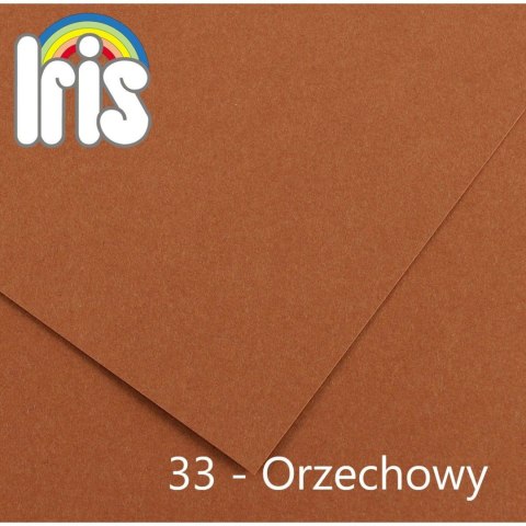 Brystol Iris 33 A4 orzechowy 120g 100k Canson (200040032)
