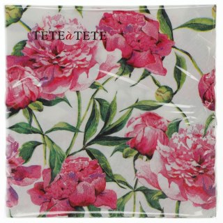 Serwetki mix bibuła [mm:] 330x330 Paw (TL572000)