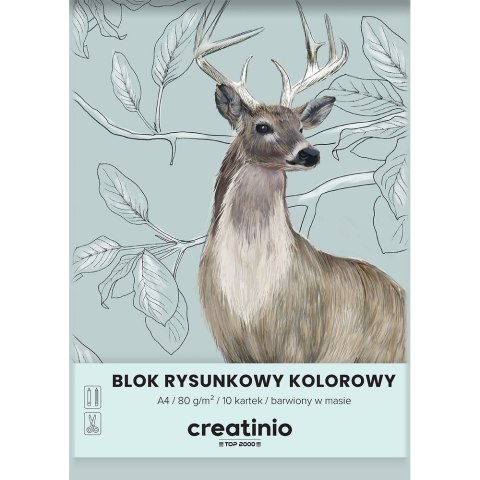 Blok rysunkowy A4 kolorowy 80g 10k Top 2000 (400176665)