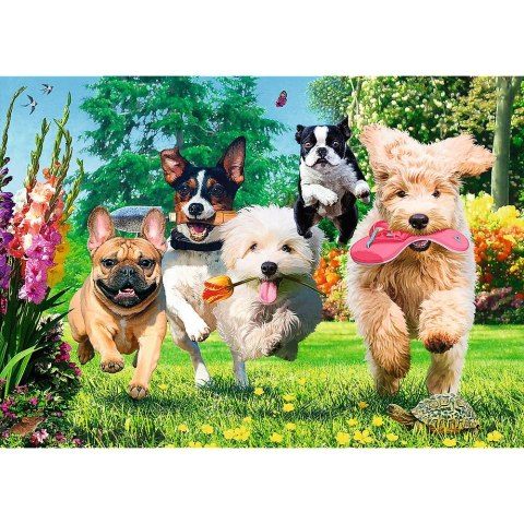 Puzzle Premium Plus Nadchodzą kłopoty 1000 el. Trefl (10800)
