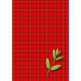 Brulion B6 200k. krata Kreska