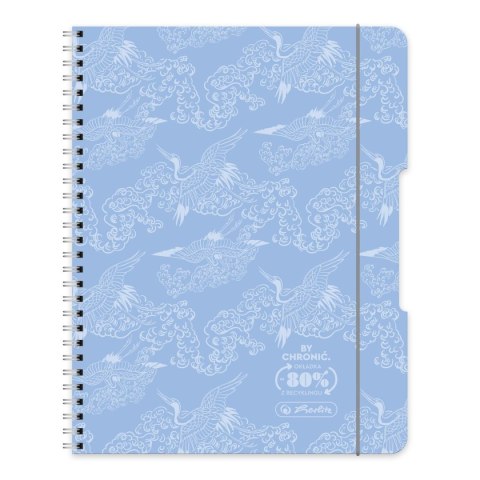 Kołobrulion ECO COLORS 9501445 B5 80k. kratka Herlitz (400198743)