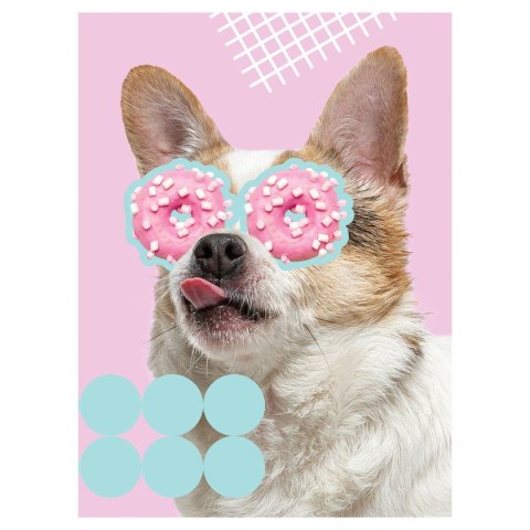 Zeszyt Funny Dog A5 60k. krata Unipap