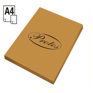 Papier kolorowy A4 brązowy jasny 50k. 160g Protos