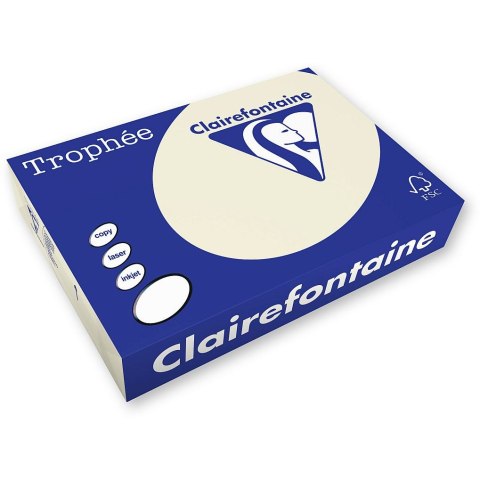 Papier kolorowy kolorowy A4 piaskowy 250k. 120g Trophee (xca41242)