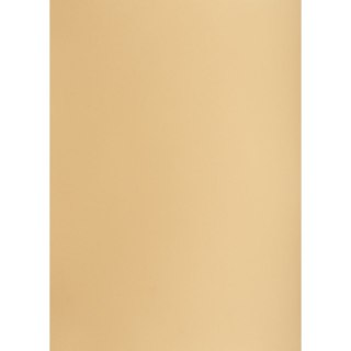 Brystol A3 jasnobrązowy 160g 25k [mm:] 297x420 TOP-2000 (400150230)