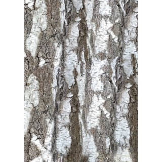 Brulion A4 200k. krata Kreska