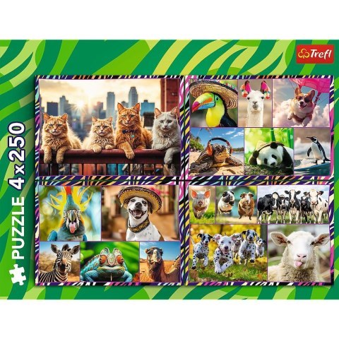 Puzzle zwierzaki 4x250 el. Trefl (13313)
