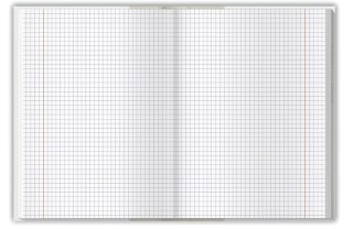 Brulion colors niebieski A4 96k. 70g krata Top 2000 (400169205)