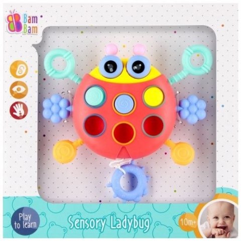Zabawka edukacyjna biedronka sensoryczna Bam Bam (541611)