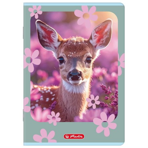 Zeszyt Animals A5 32k. 70g linia cm Herlitz (400206383)