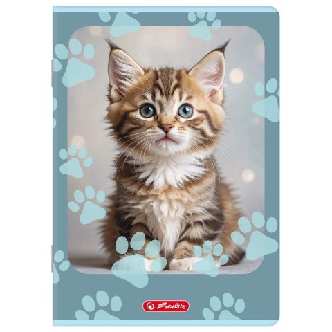 Zeszyt Animals A5 32k. 70g linia cm Herlitz (400206383)