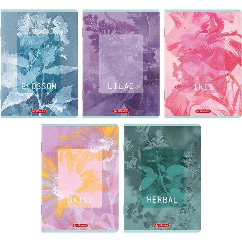 Zeszyt BLOSSOM A5 60k. 70g linia cm Herlitz (400206386)