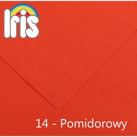 Brystol Iris 14 A4 pomidorowy 120g 100k Canson (200040013)