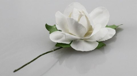 Ozdoba papierowa Craft-Fun Series Titanum (25YX0902-12- white)