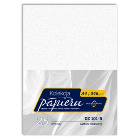 Papier ozdobny (wizytówkowy) A4 biały 246g Michalczyk i Prokop (DZ101-B)