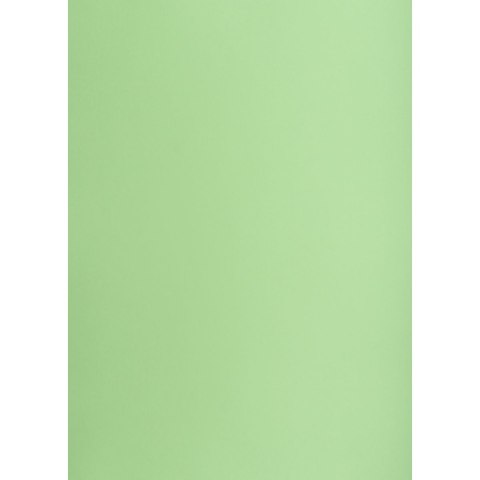 Brystol A1 groszkowy 160g 25k [mm:] 610x860 TOP-2000 (400149556)