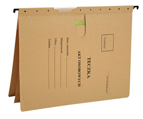 Skoroszyt A4 siarczanowy karton 230g Esselte (15211)