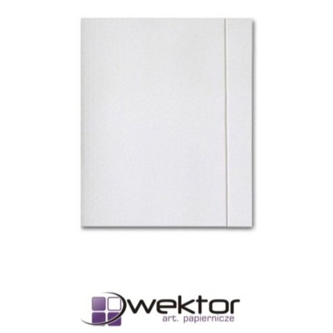 Teczka kartonowa Wektor (5906395355068)