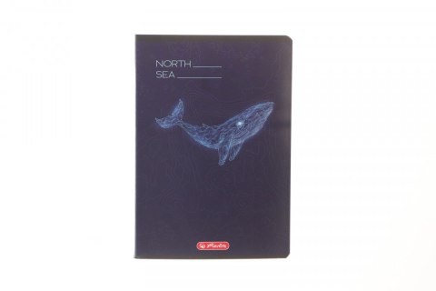 Zeszyt mix 3 A5 60k. 70g kratka Herlitz (400206346)