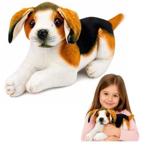 Pluszak Piesek Beagle [mm:] 250 Best Way (28884)