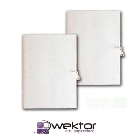 Teczka kartonowa Wektor (5906395355051)