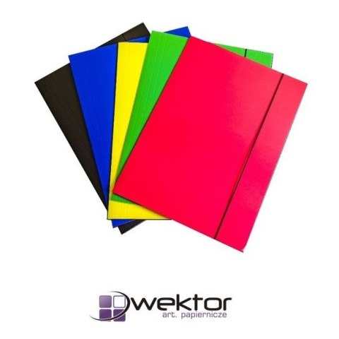 Teczka kartonowa Wektor (5906395355075)