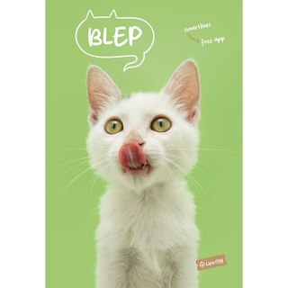 Zeszyt A4 Pets 40k. krata Mar Mar (MM 1211638884)