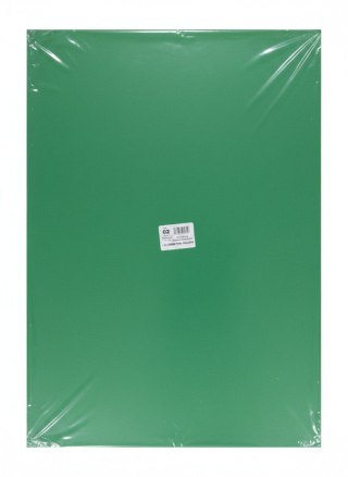 Brystol A1 zielony 20k Protos
