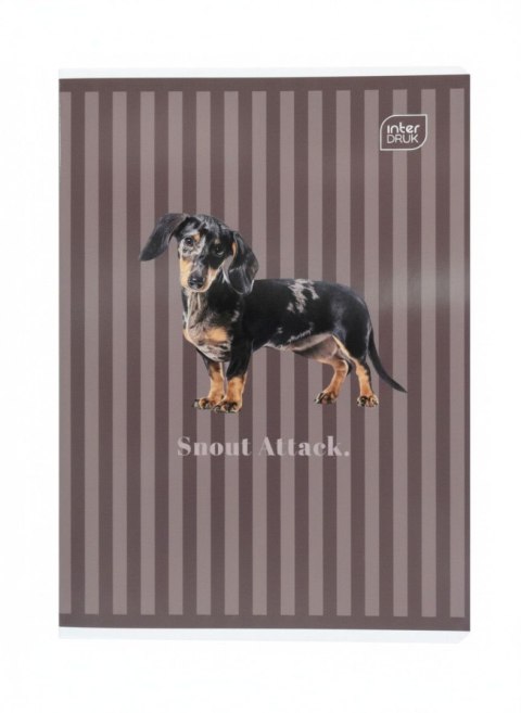 Zeszyt PUPPY SIGN A5 60k. 70g krata Interdruk (ZE60#PS)