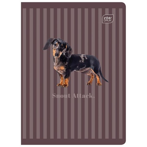 Zeszyt PUPPY SIGN A5 60k. 70g krata Interdruk (ZE60#PS)