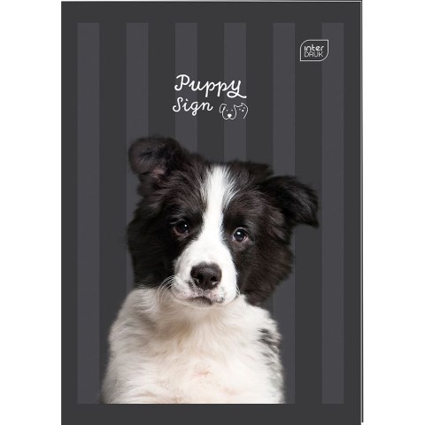 Zeszyt A4 PUPPY SIGN 32k. 70g krata Interdruk (ZEA432K#PS)