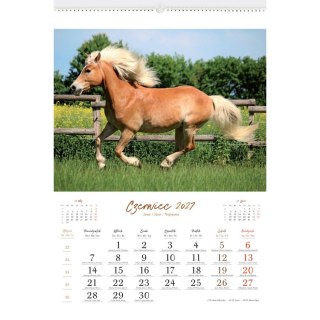 Kalendarz ścienny KONIE WOBIEKTYWIE 13-planszowe 320mm x 470mm Lucrum (RW14)