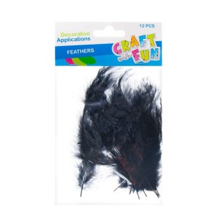 Piórka CZARNY 12 szt Craft with Fun (463632)