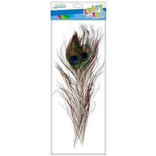 Piórka brązowa 2 szt Craft with Fun (463631)
