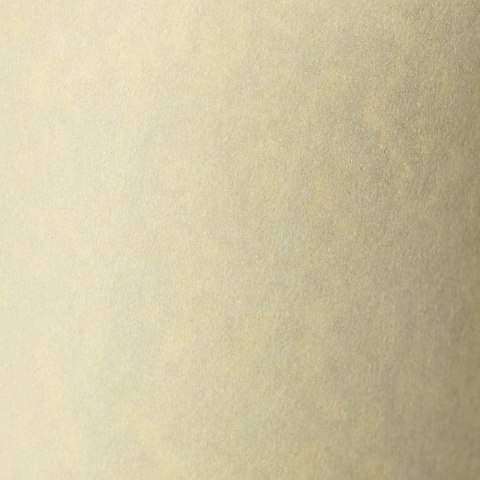 Papier ozdobny (wizytówkowy) Granit A4 kremowy 220g Galeria Papieru (200402)