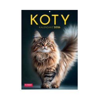 Kalendarz ścienny A4 KOTY A4 Press (5904830713381)